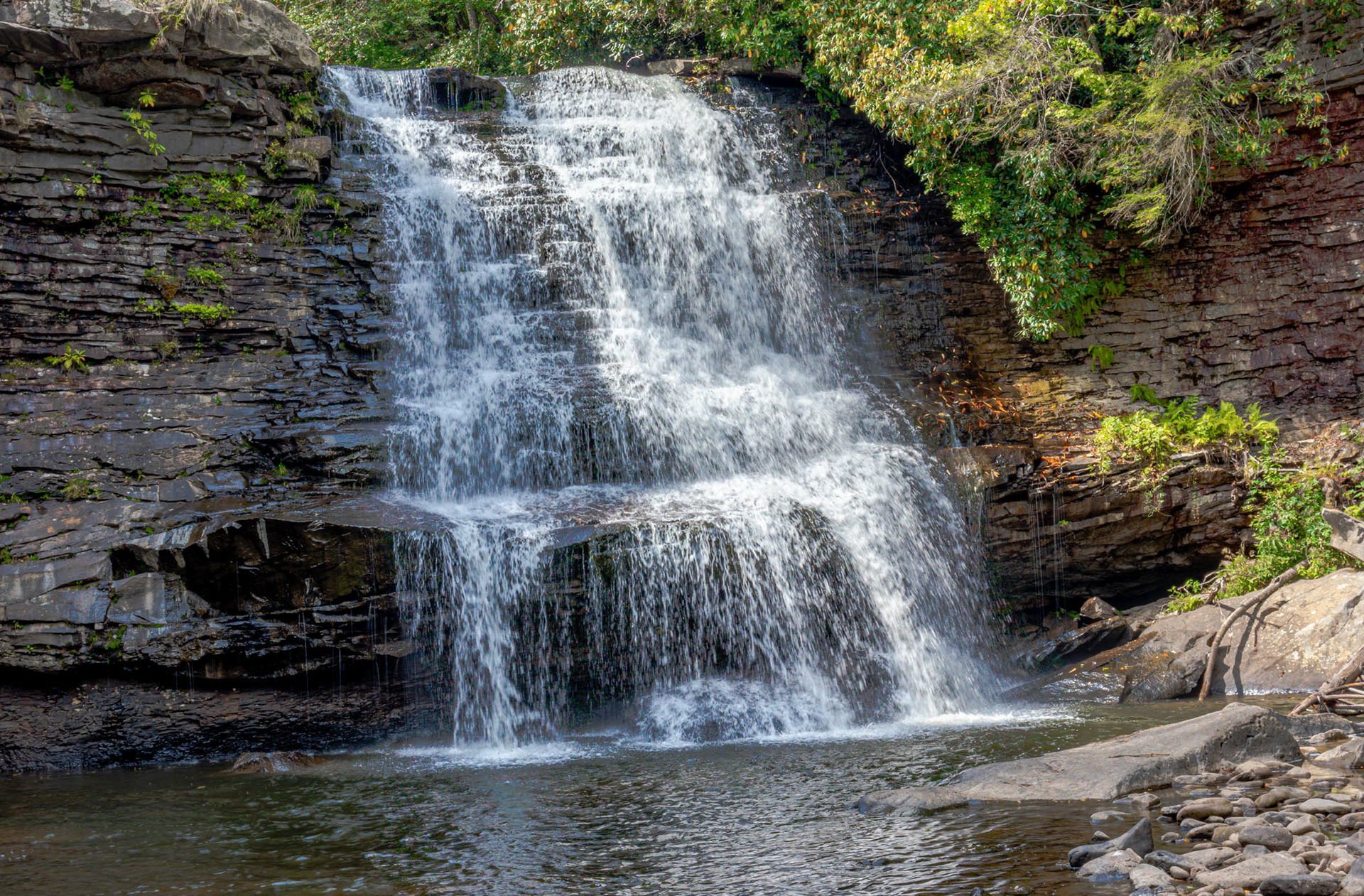 swallow falls