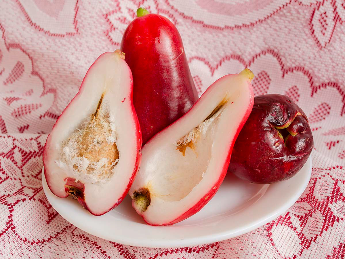 Plate of otaheite apples. Link to recent photos.