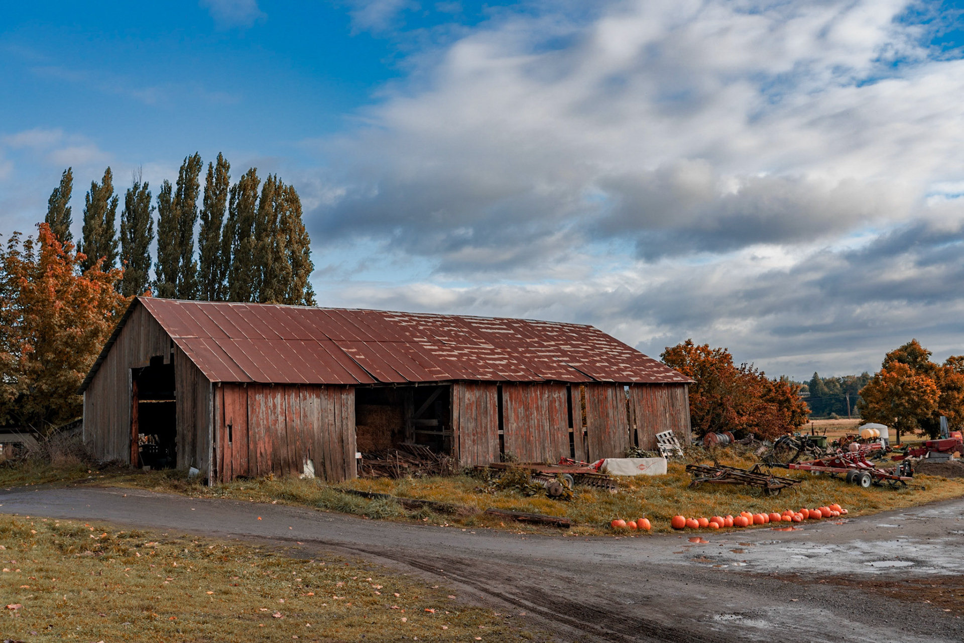 Pumpkin Farm, Snohomish WA