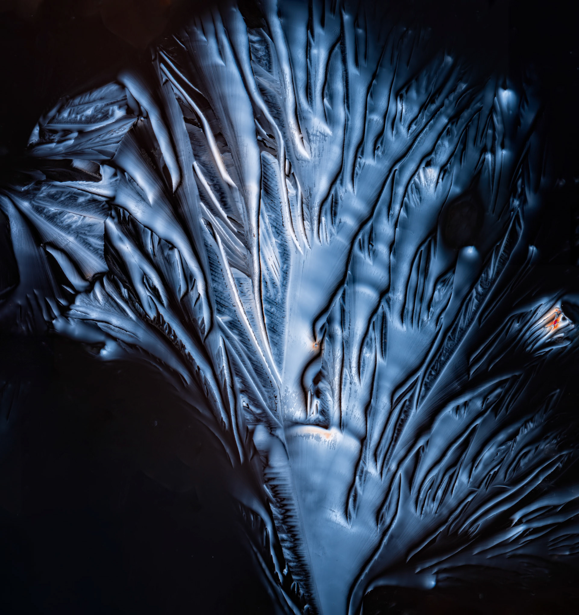 Citric Acid in Water