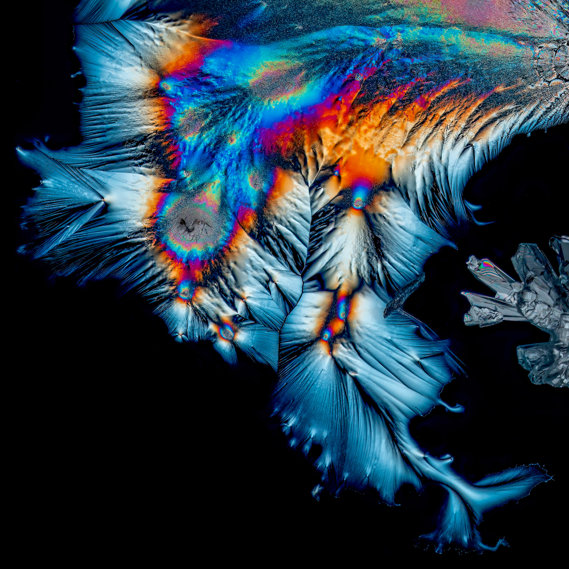 Ascorbic Acid in Water