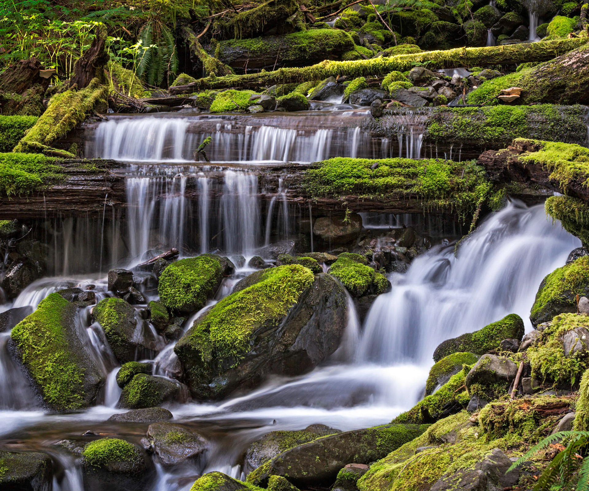 Olympic National Park