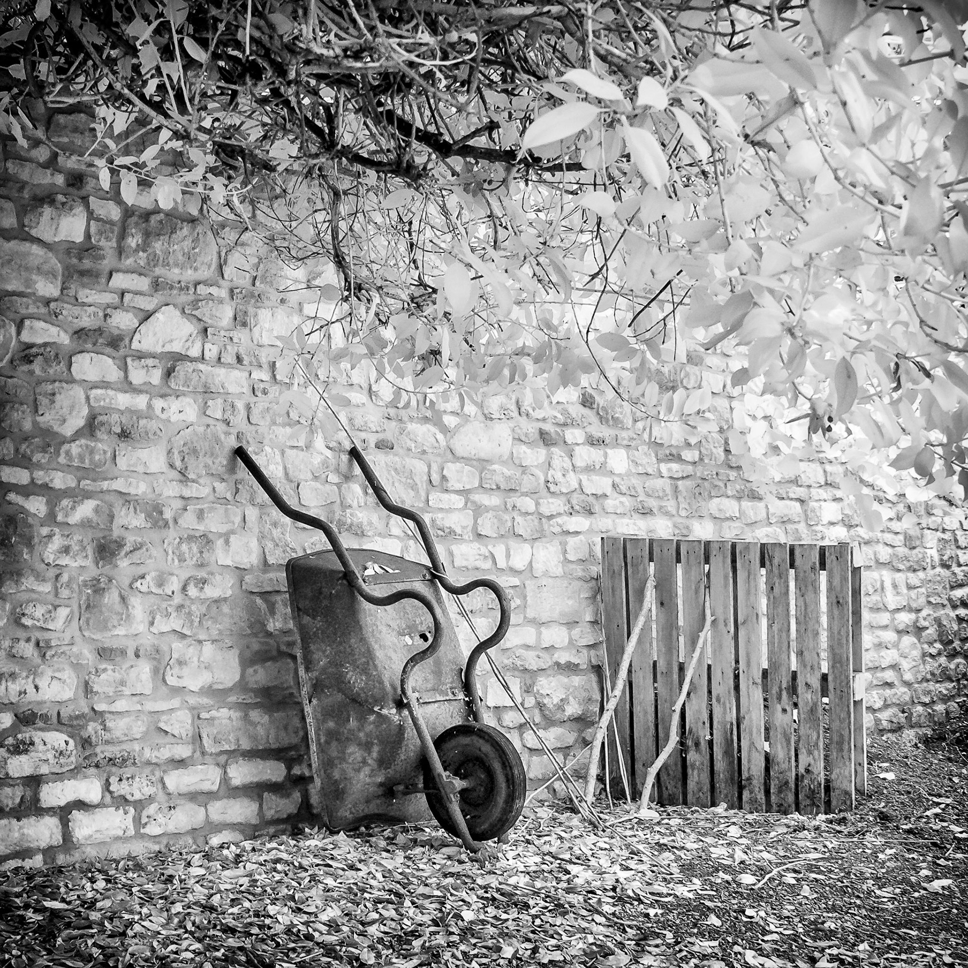 Garden wall, England