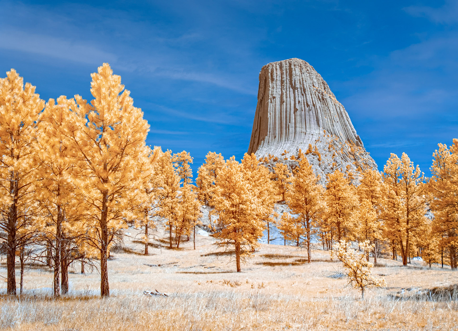 Devil's Tower