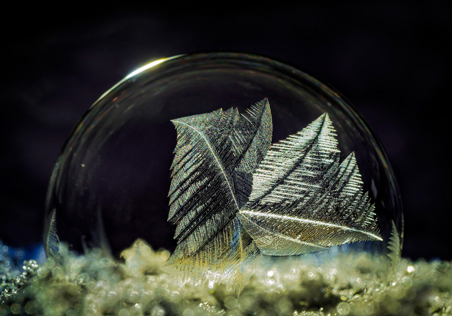 Frozen bubble