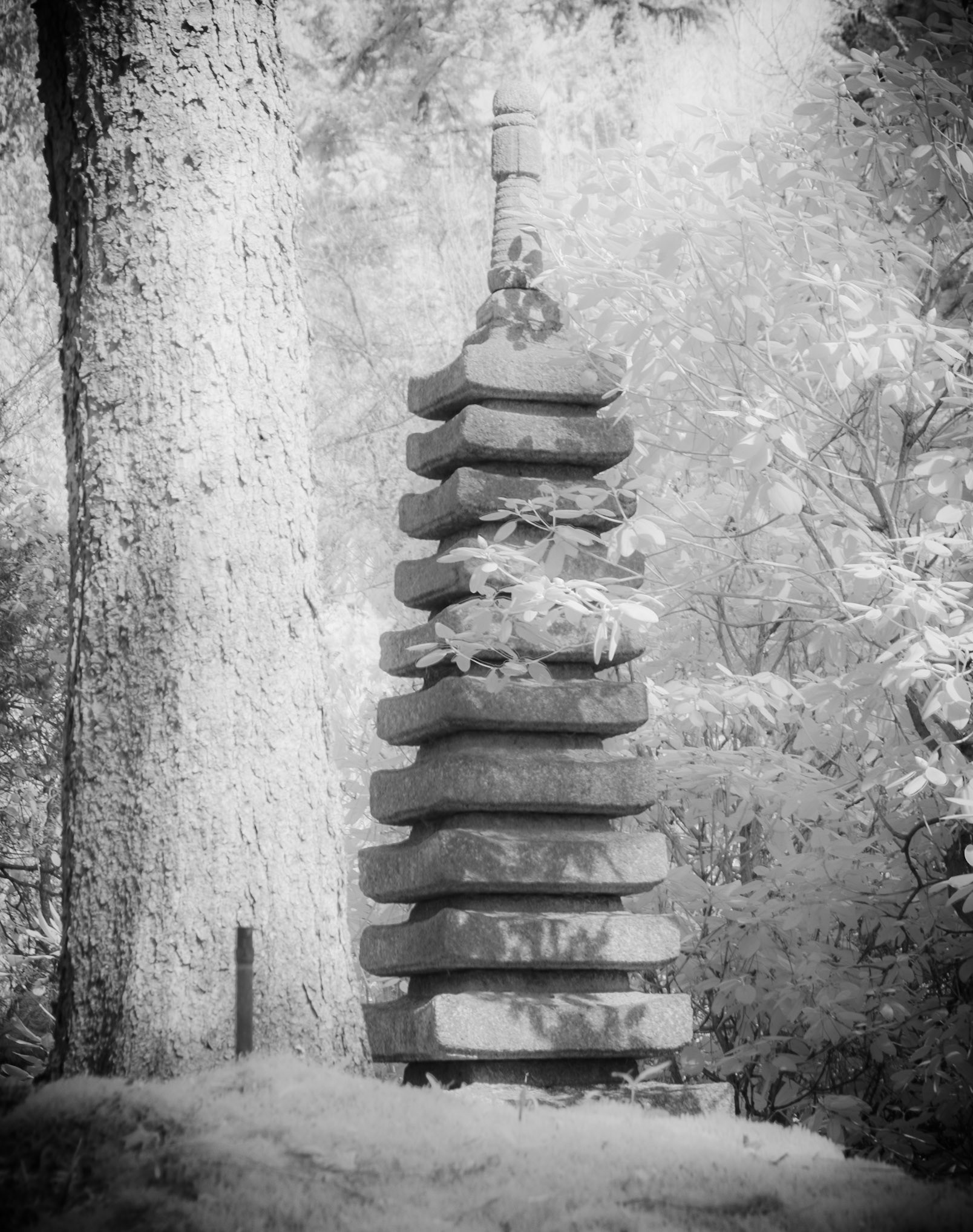 Japanese Garden Pagoda
