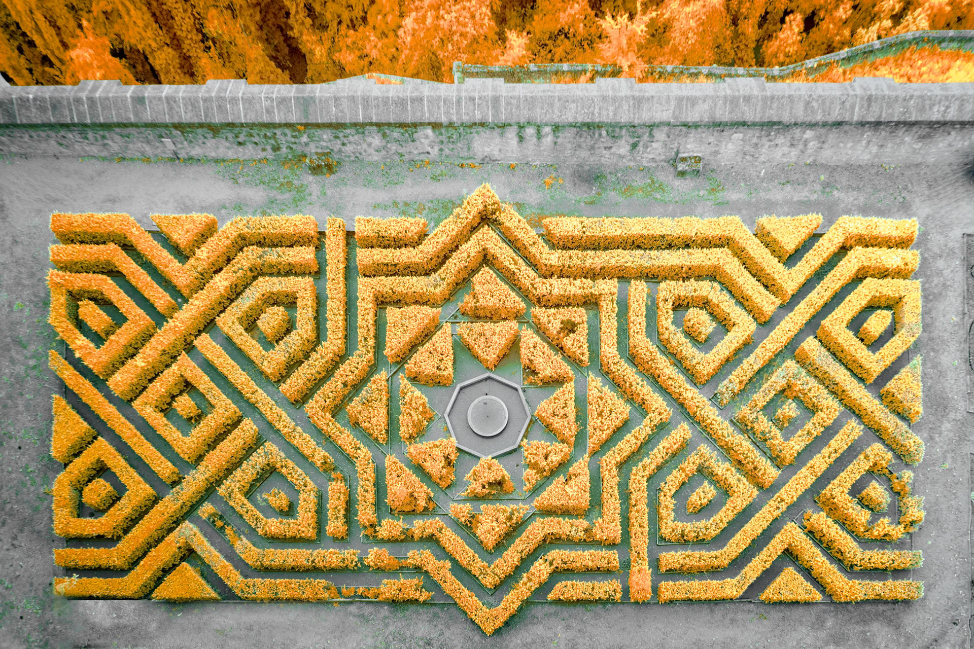 Garden, Segovia Spain