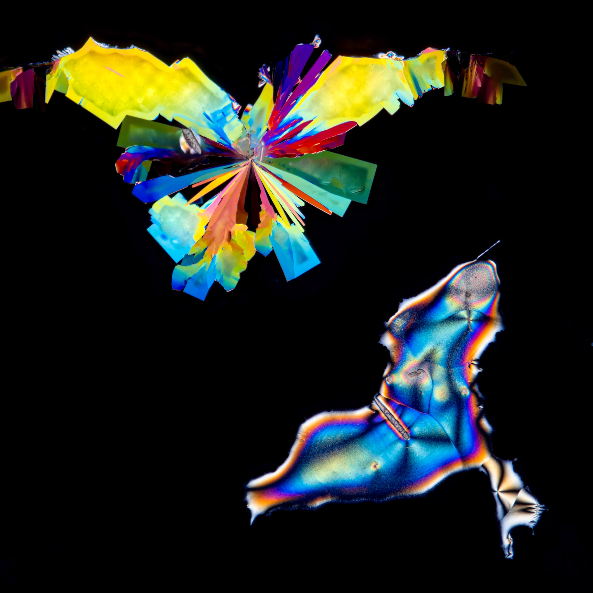 Citric Acid in Water