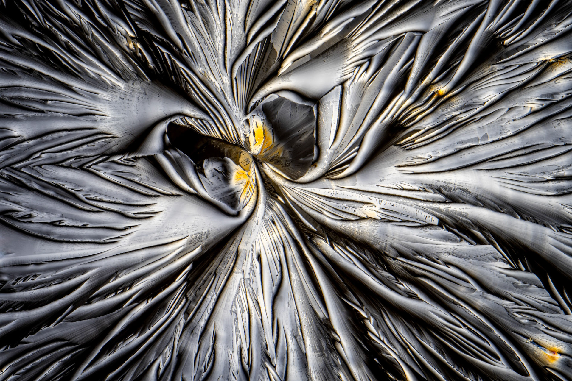 Citric Acid in Water