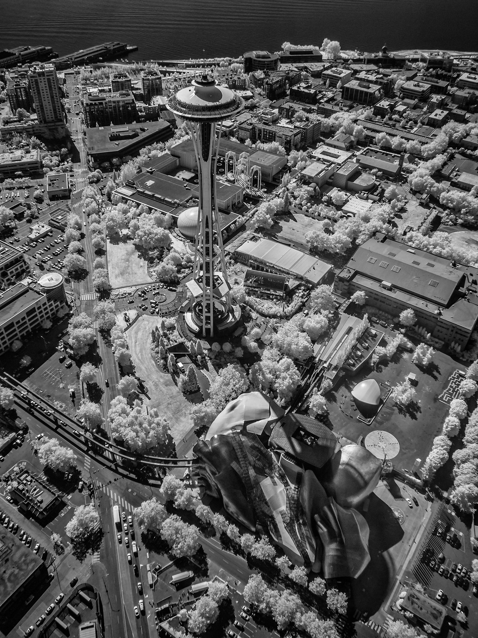 Seattle Center