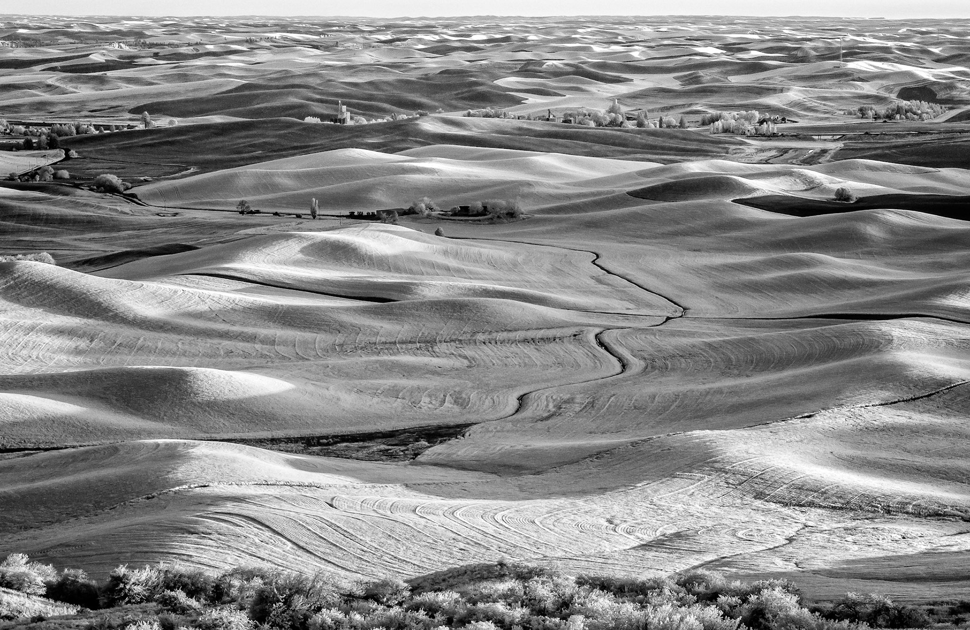 Infrared photo of the Palouse region of Washington State taken from Steptoe Butte last May.