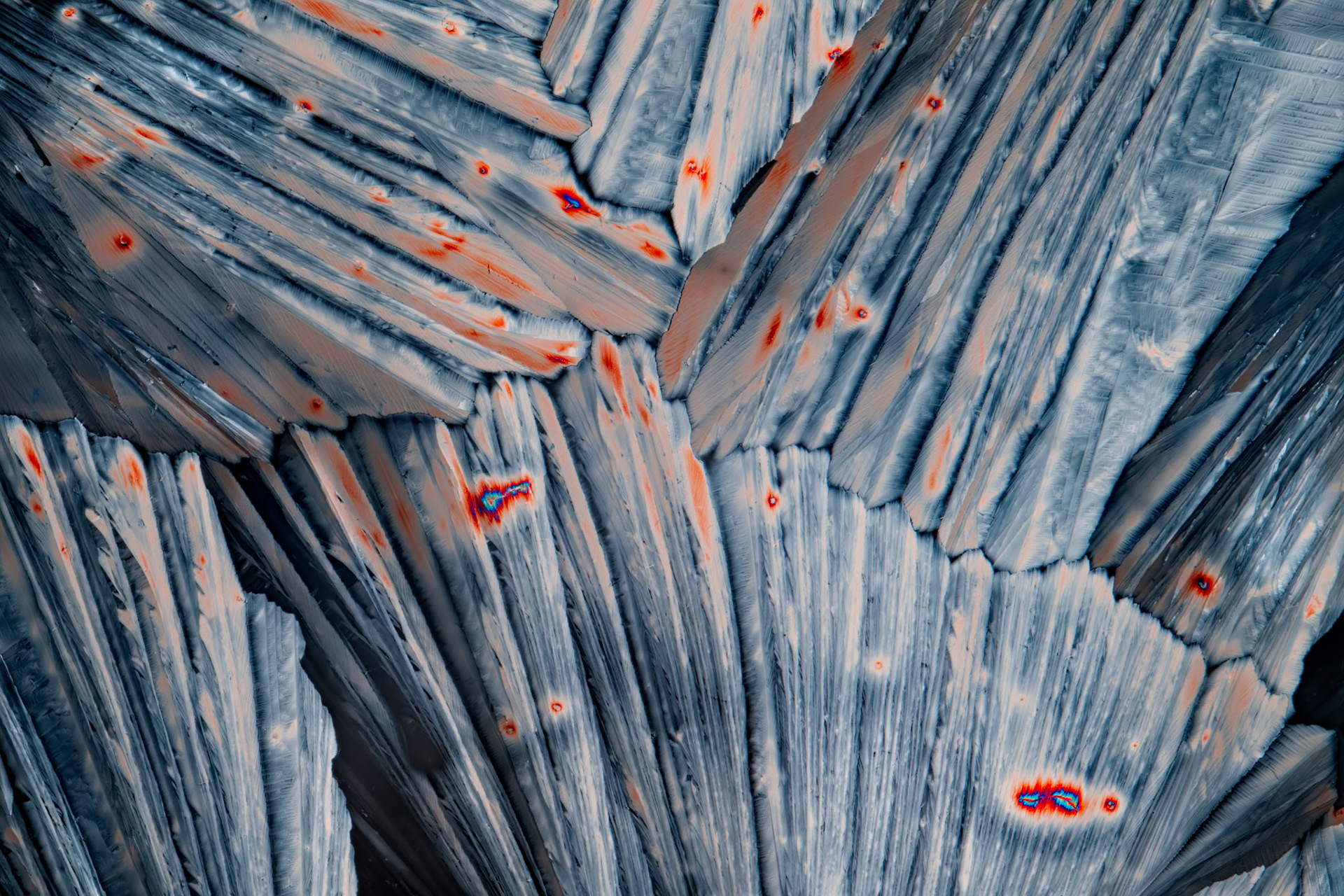 Tartaric Acid in Wine