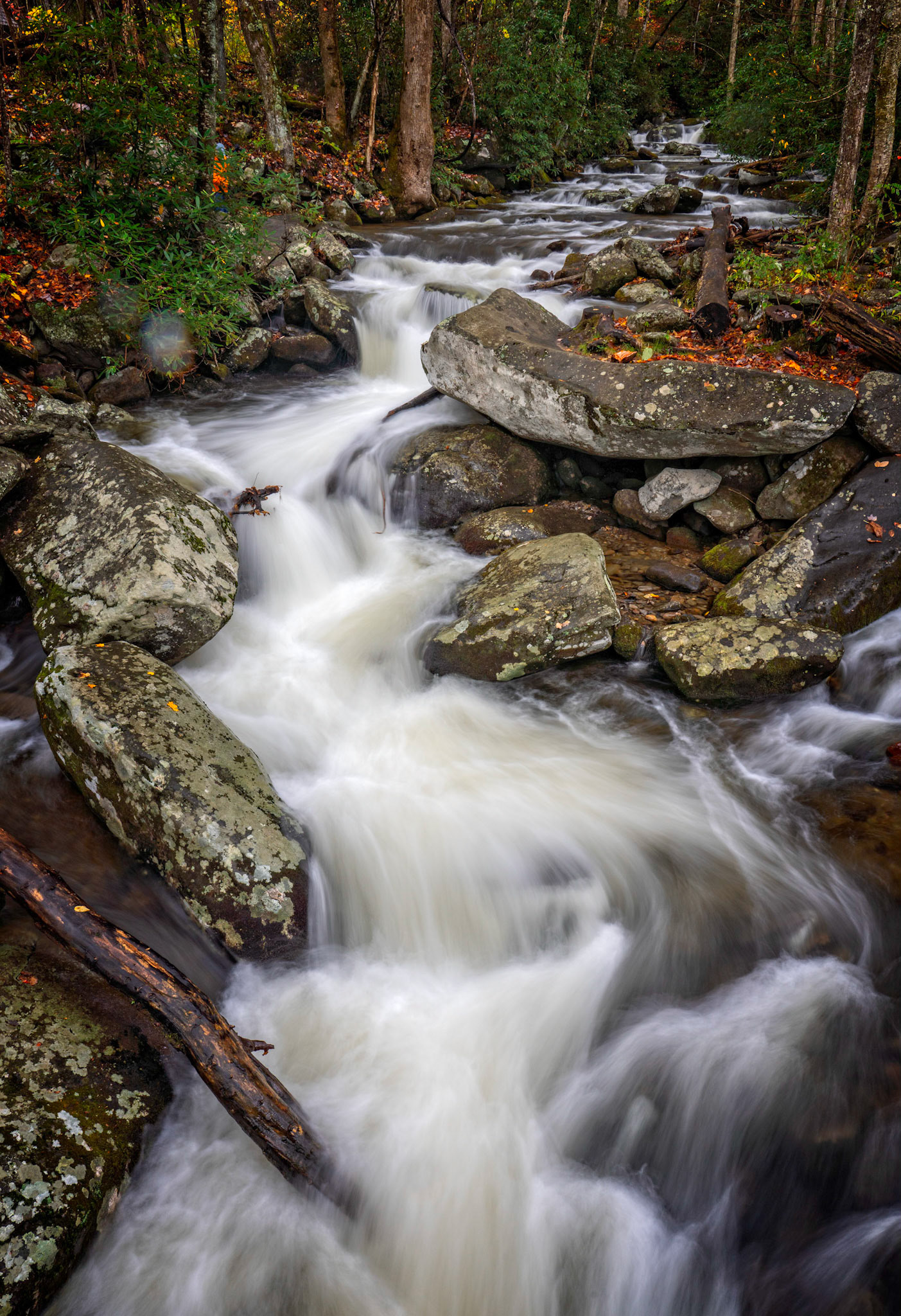 Roaring Fork, Great Smoky Mountain National Park