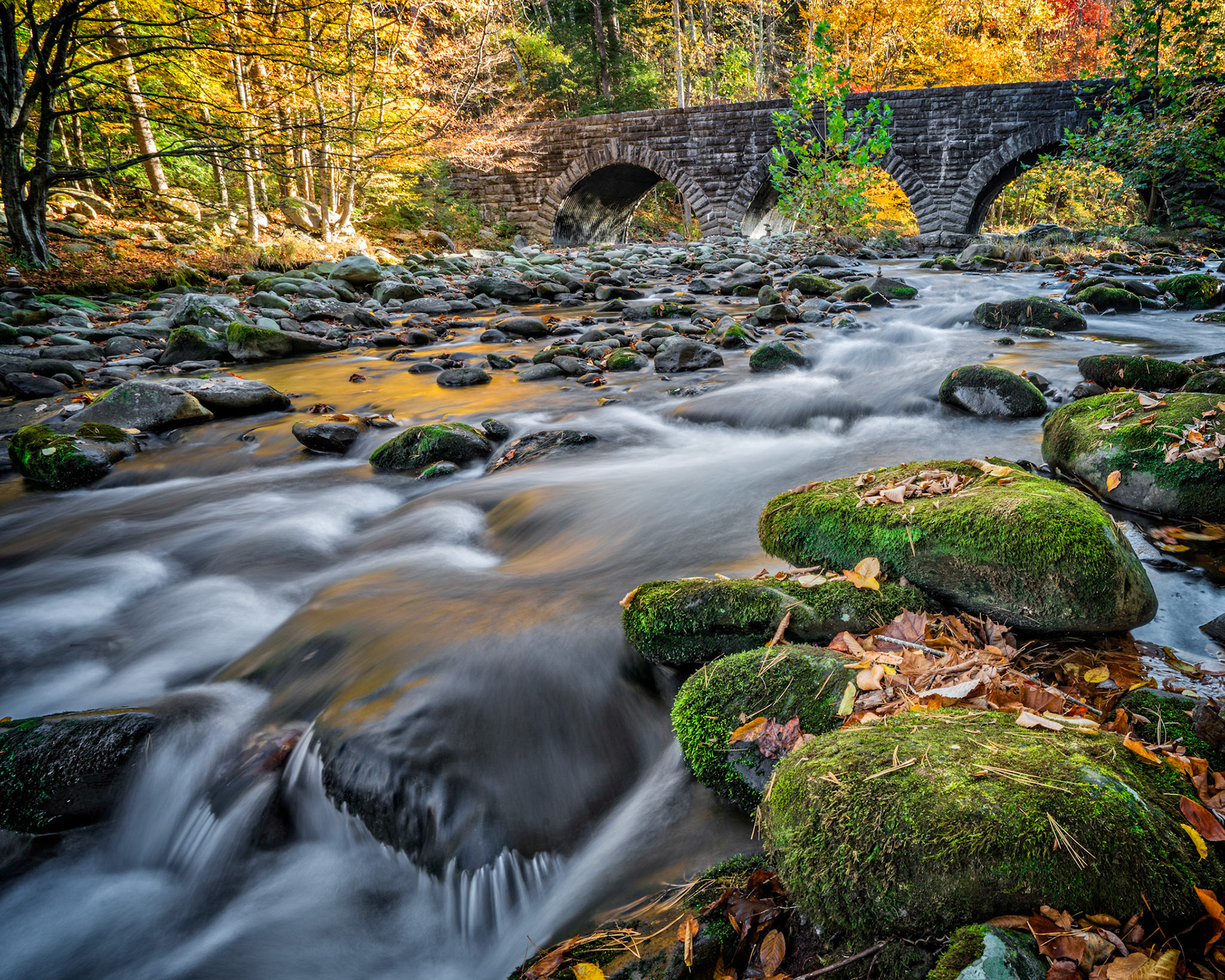 Bridge over the Little River, Elkmont Campground, Great Smoky Mountain National Park. Thankfully, this area escaped the fires.