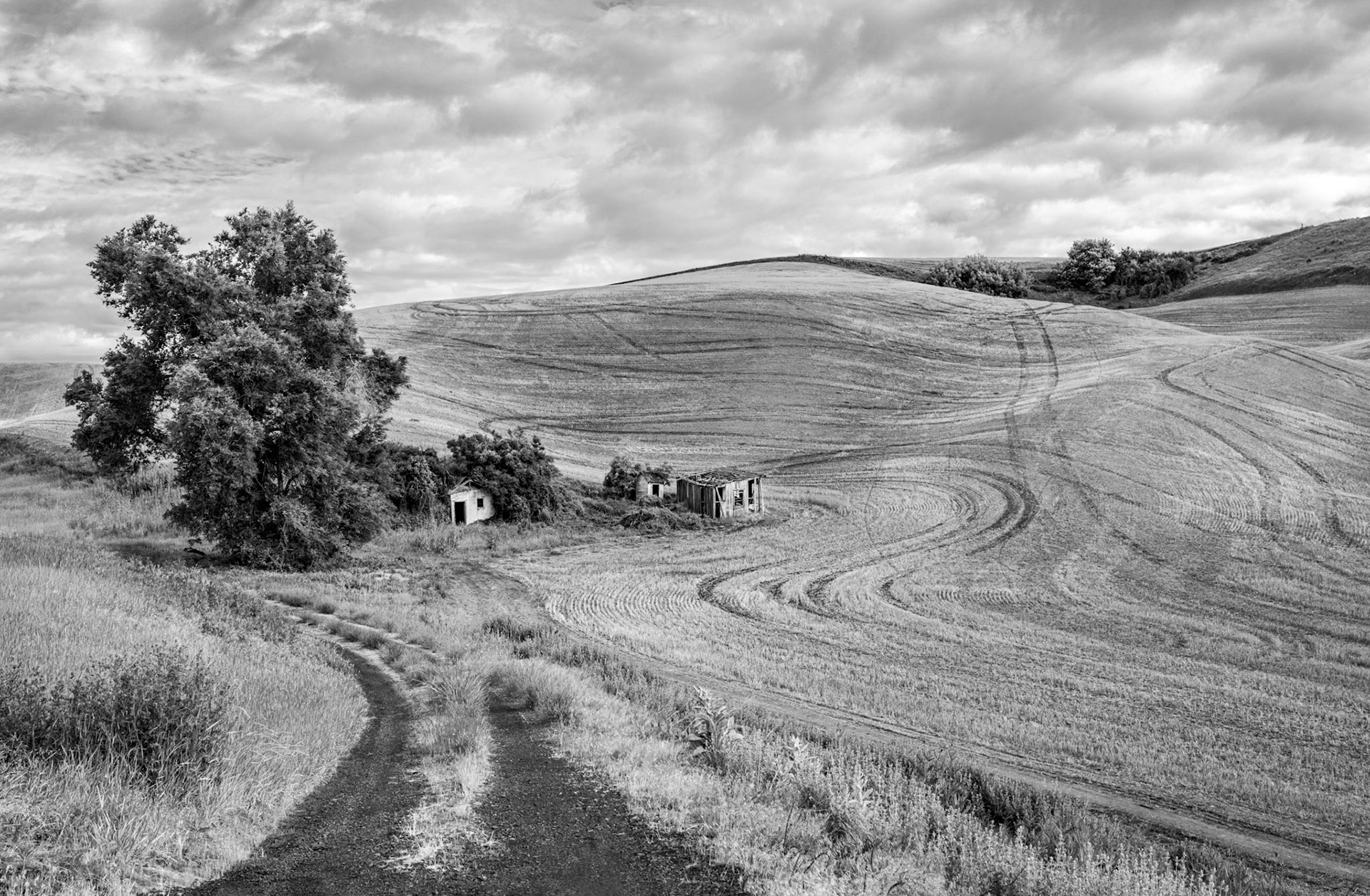 Palouse