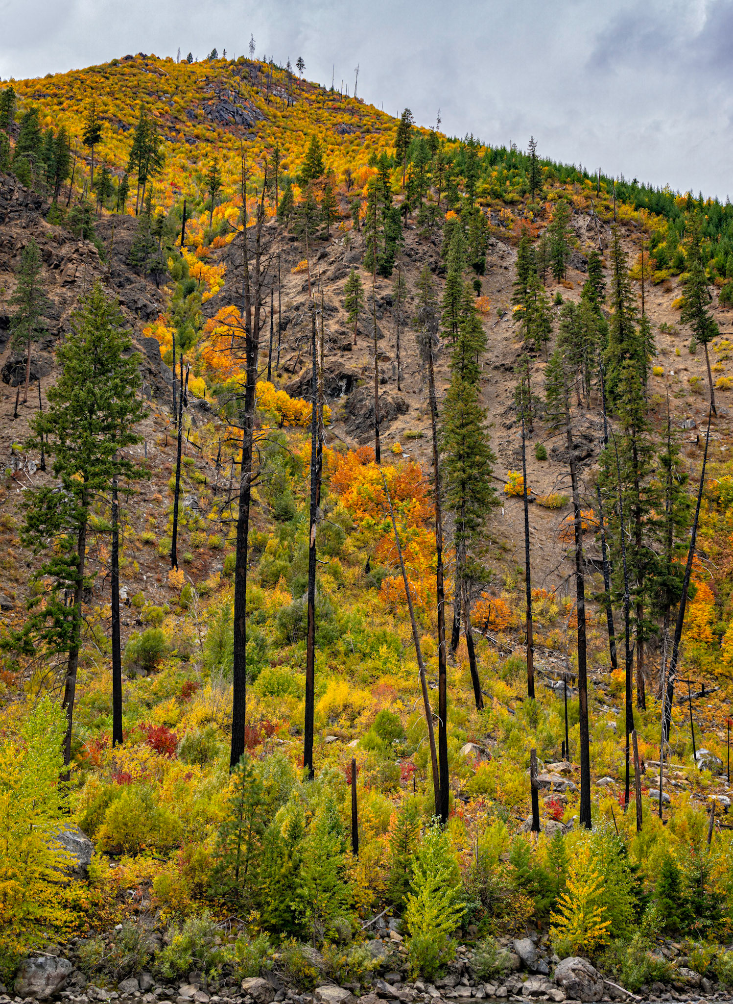 Tumwater Canyon