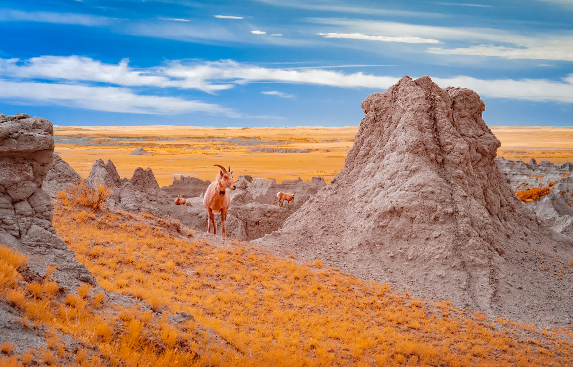 Badlands