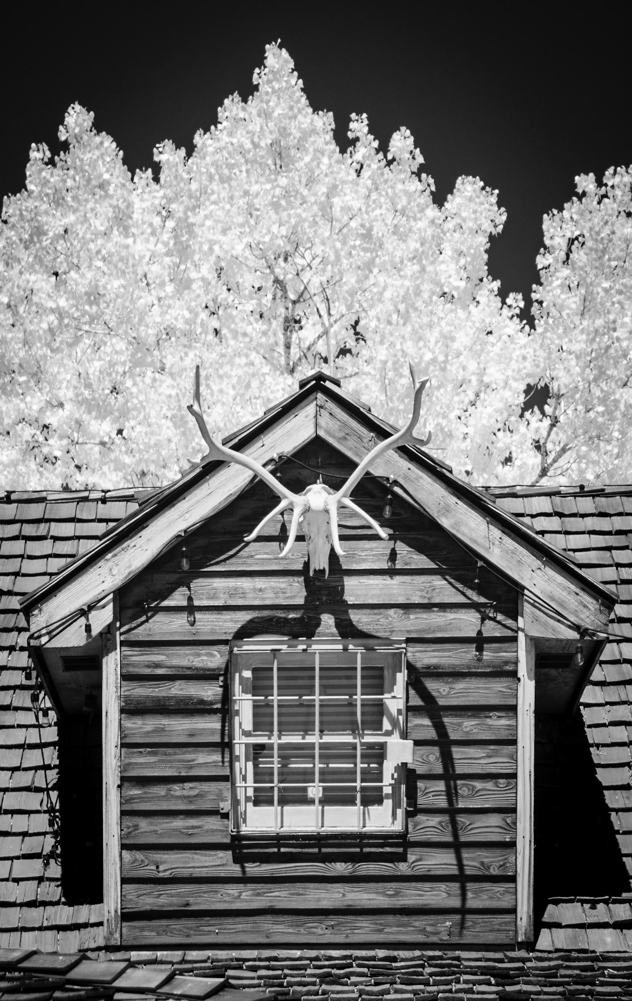 Near Little Big Horn, MT