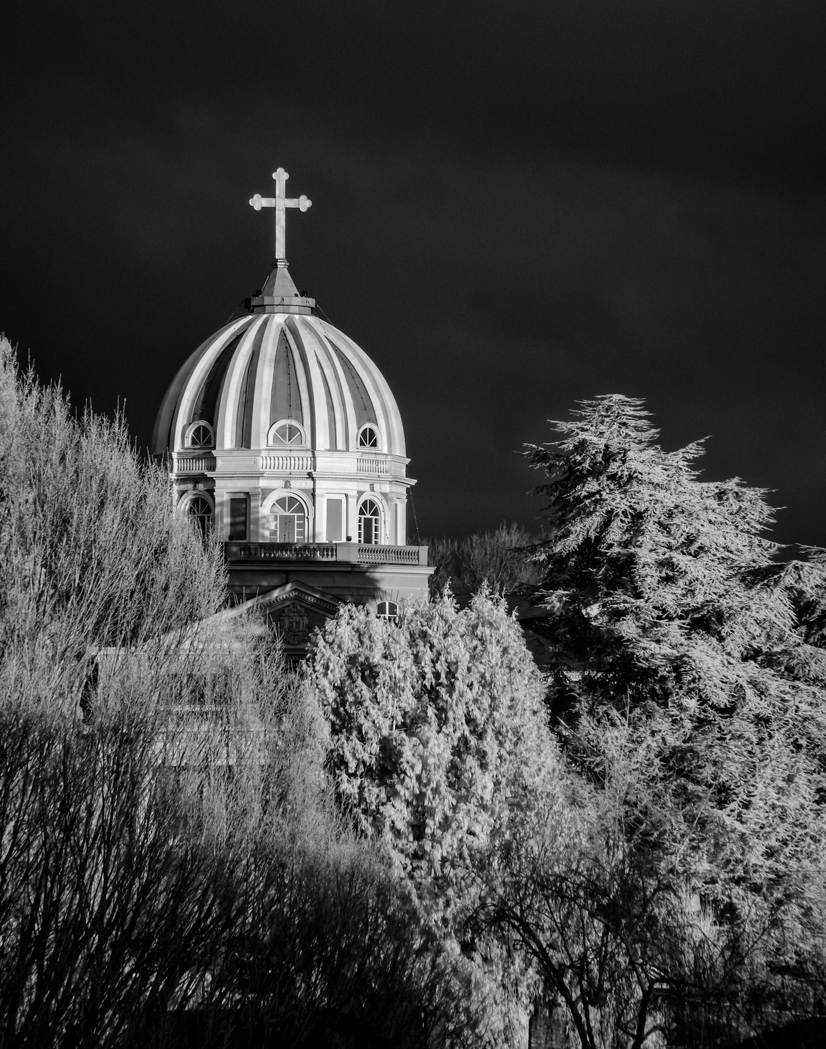Holy Names School Dome, Seattle
