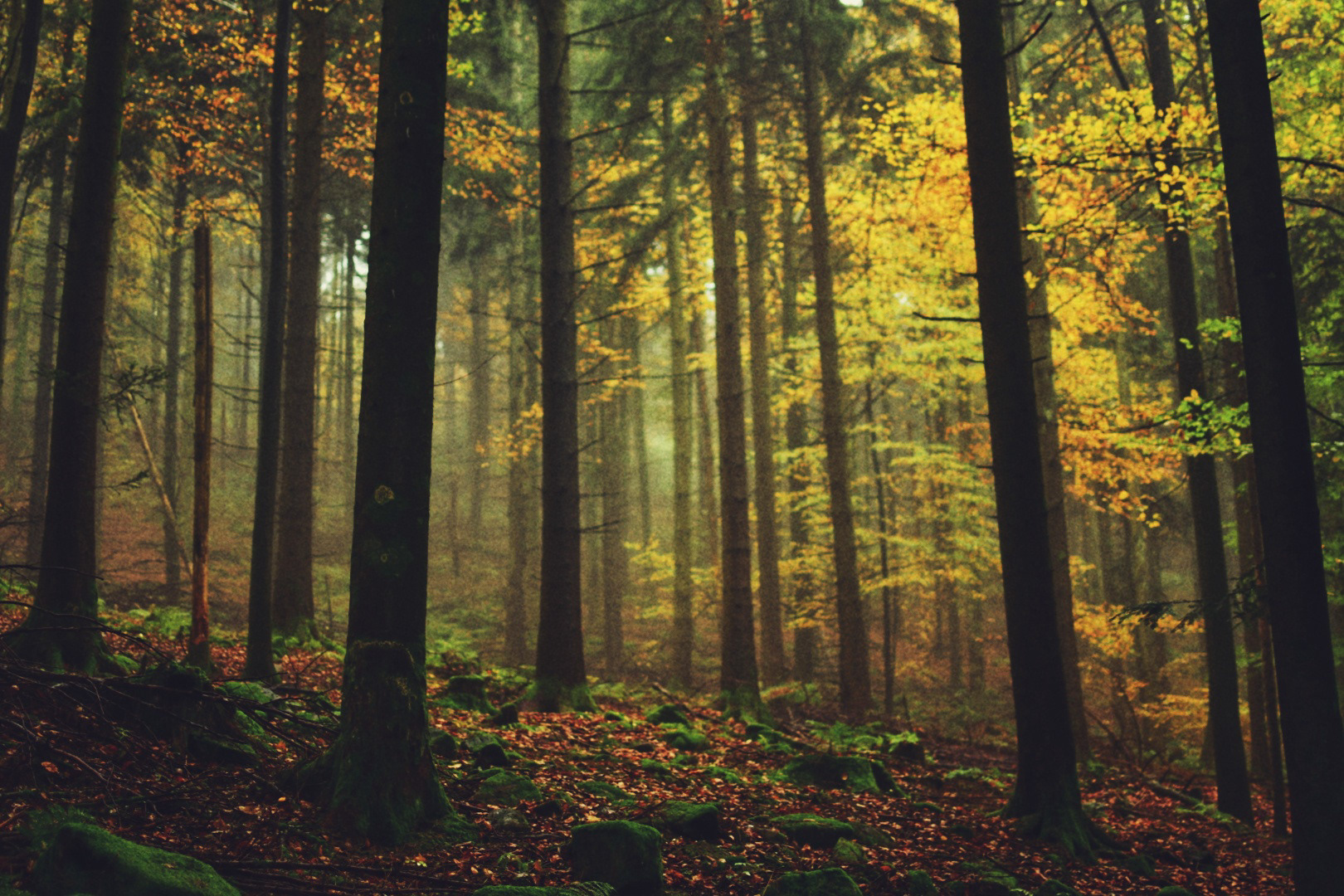 Germany