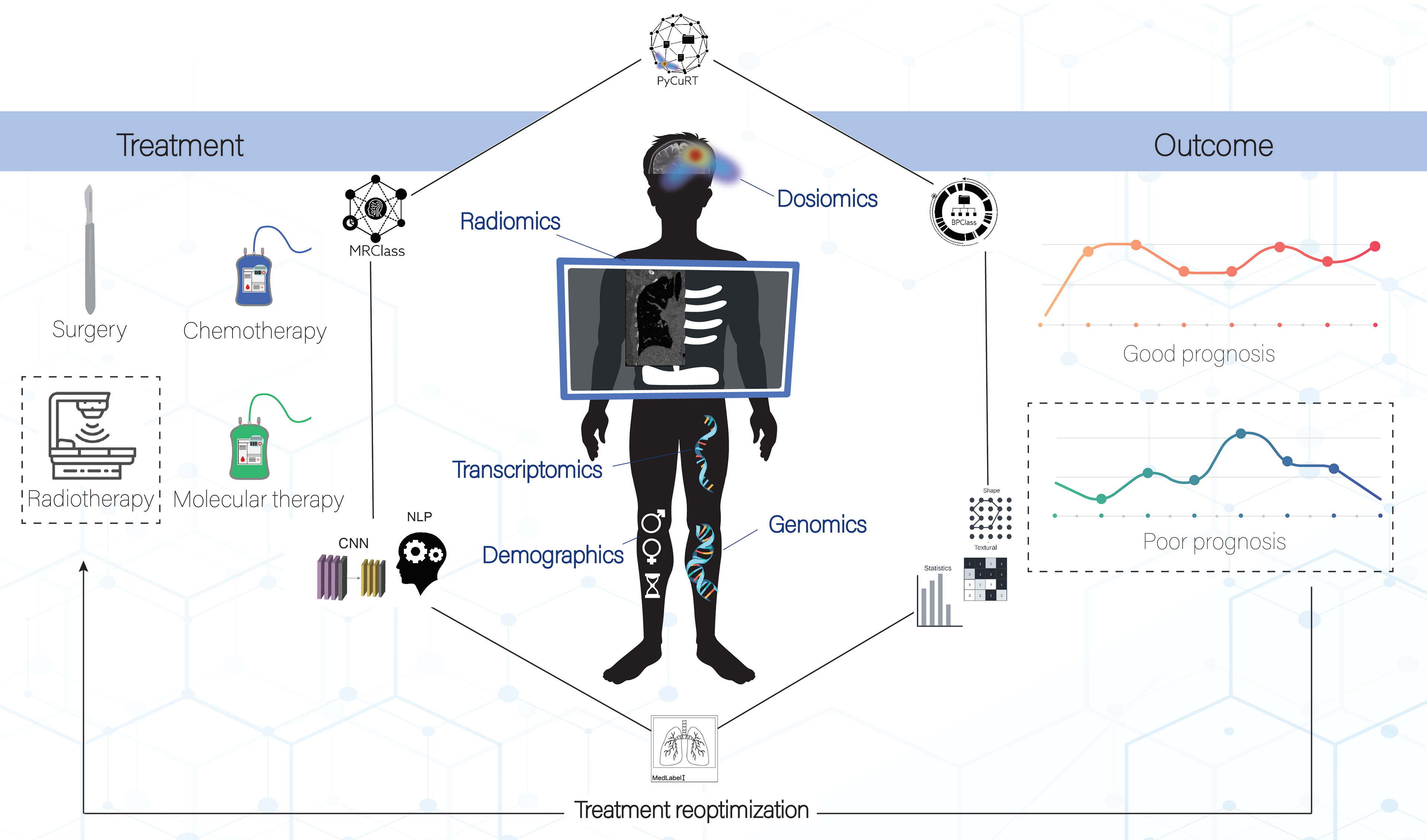 Graphical abstract