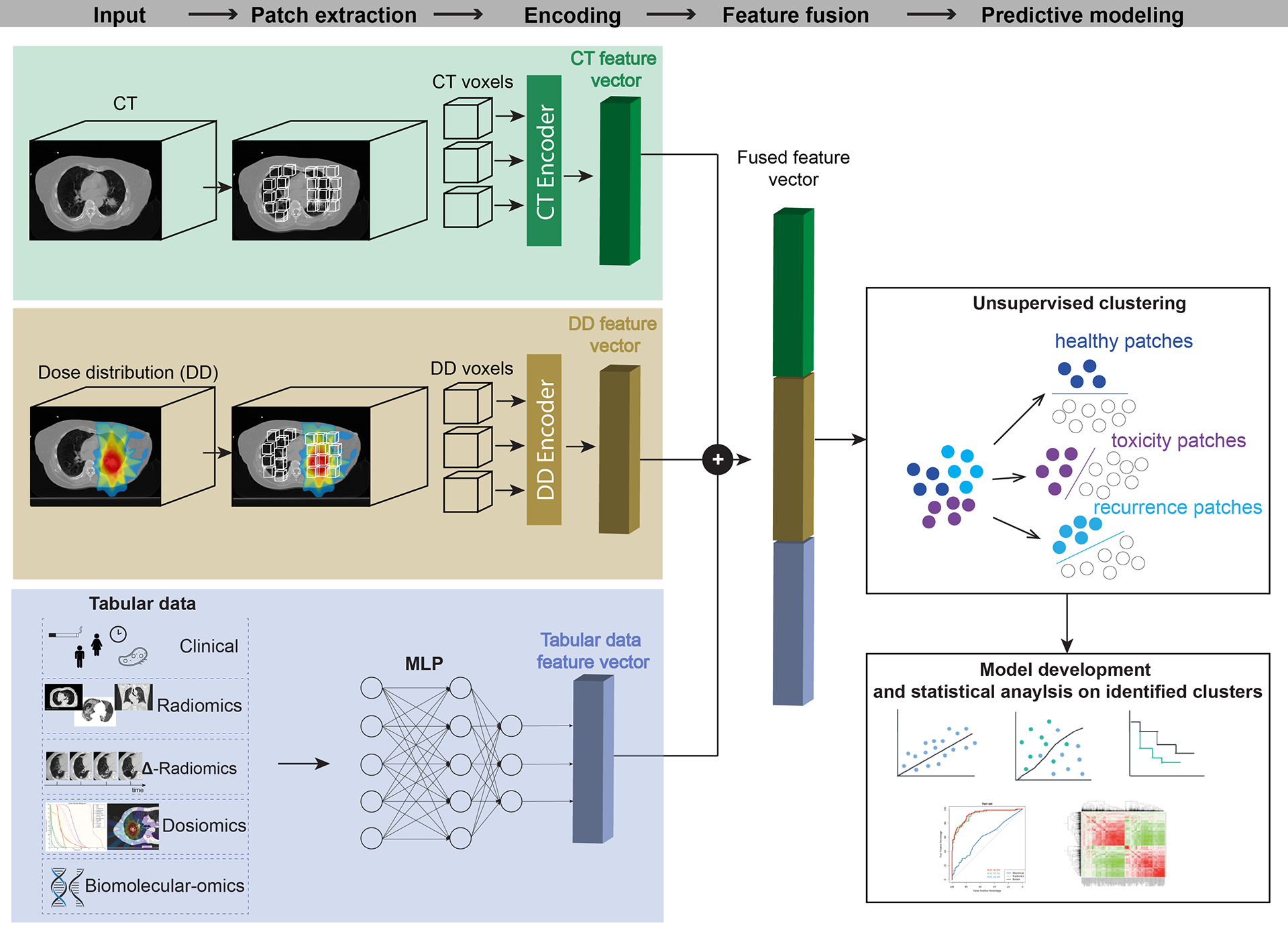 Graphical abstract