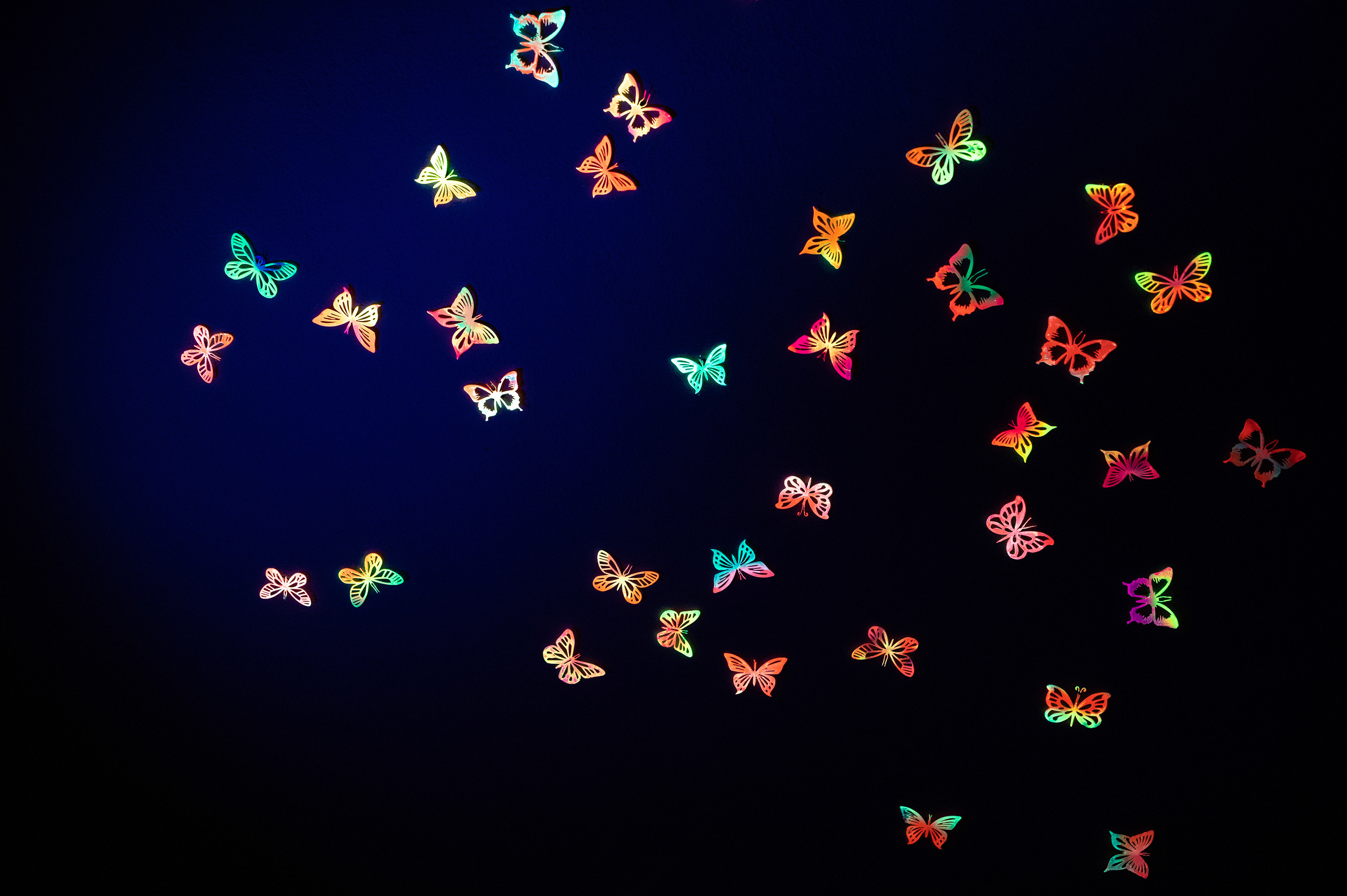 "Butterfly effect" Gonul Nuhoglu