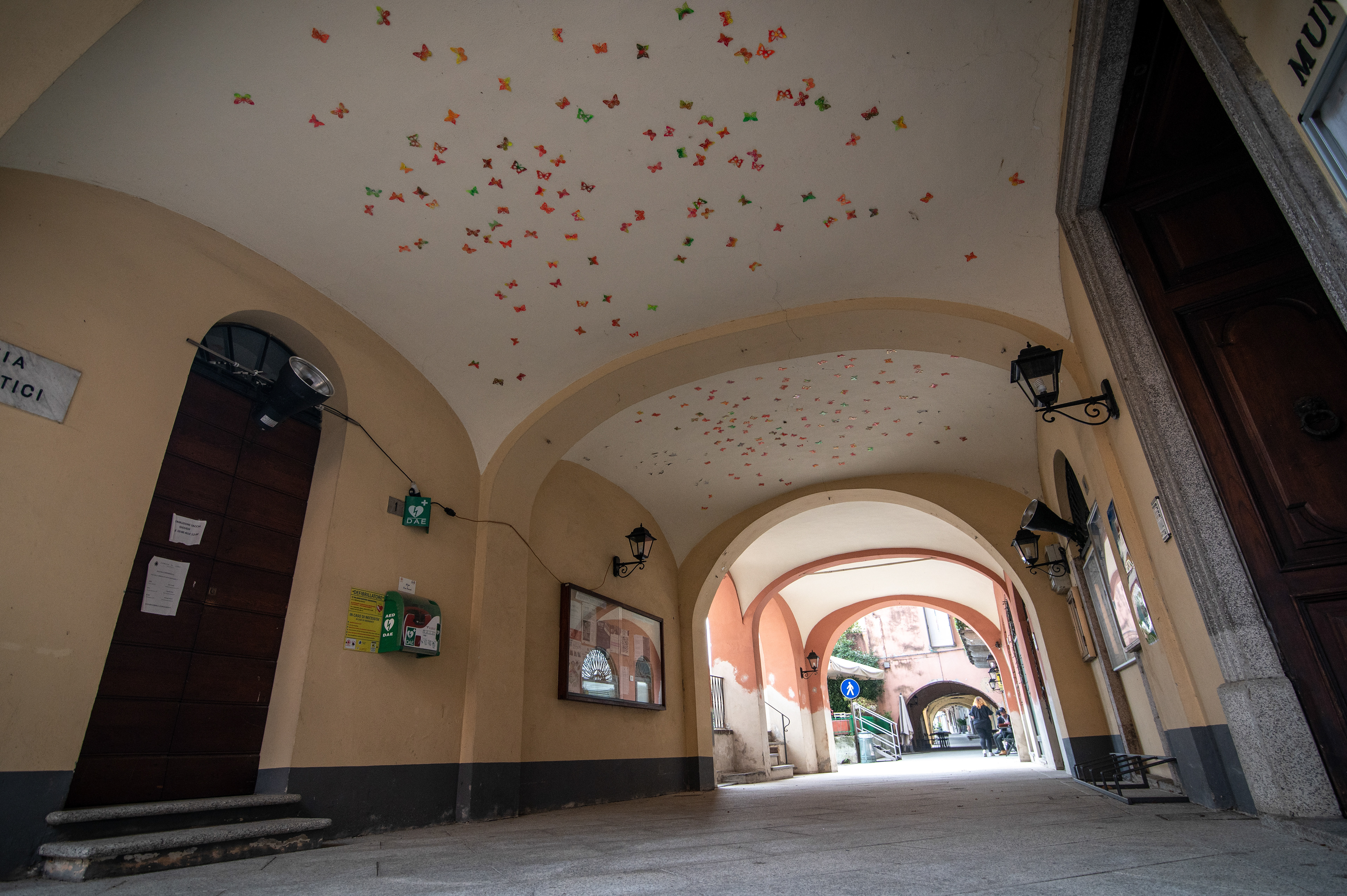 "Butterfly effect" Gonul Nuhoglu