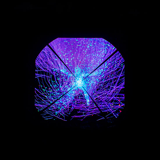 Rainbow warriors, Gonul Nuhoglu