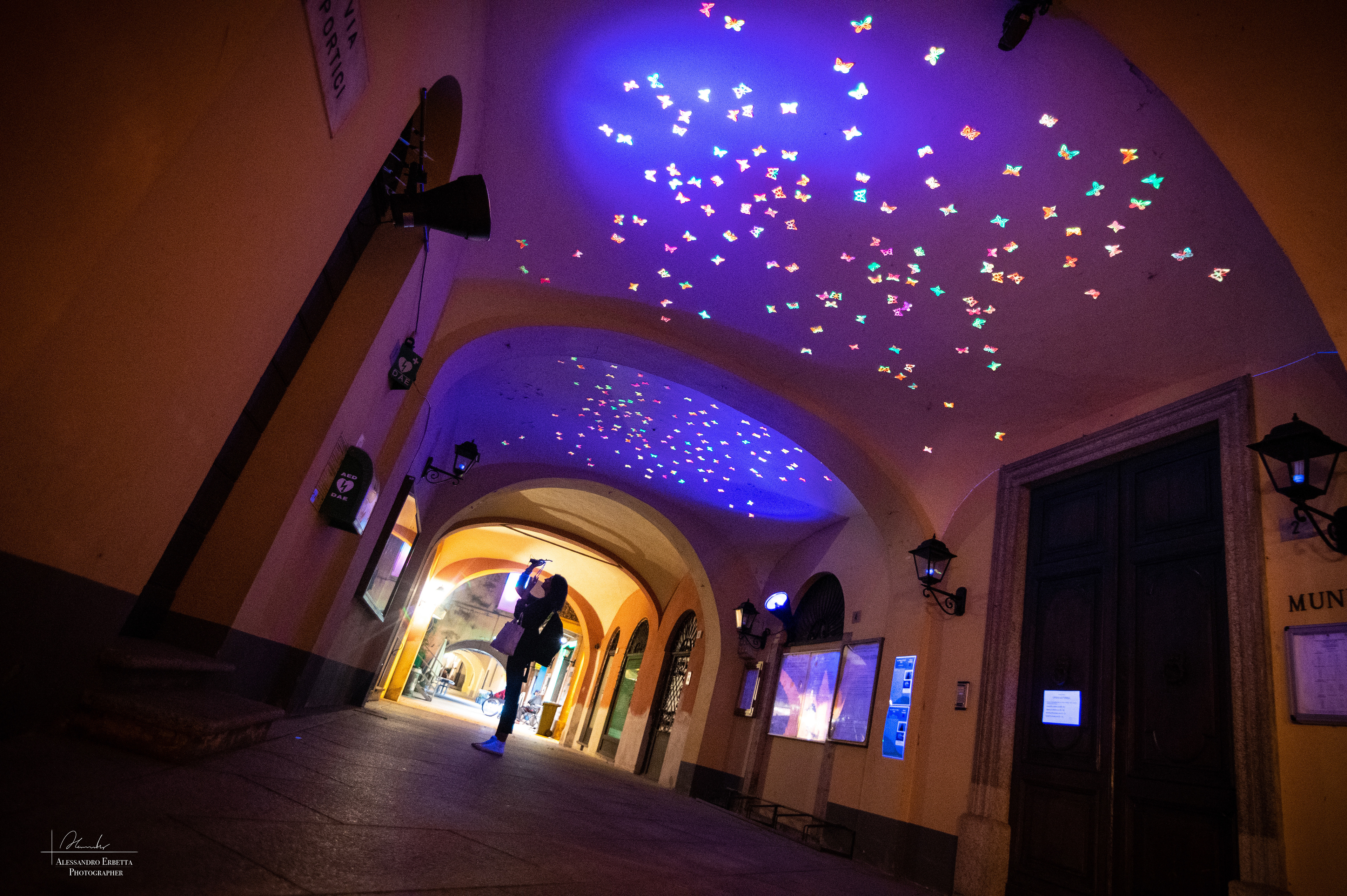 "Butterfly effect" Gonul Nuhoglu