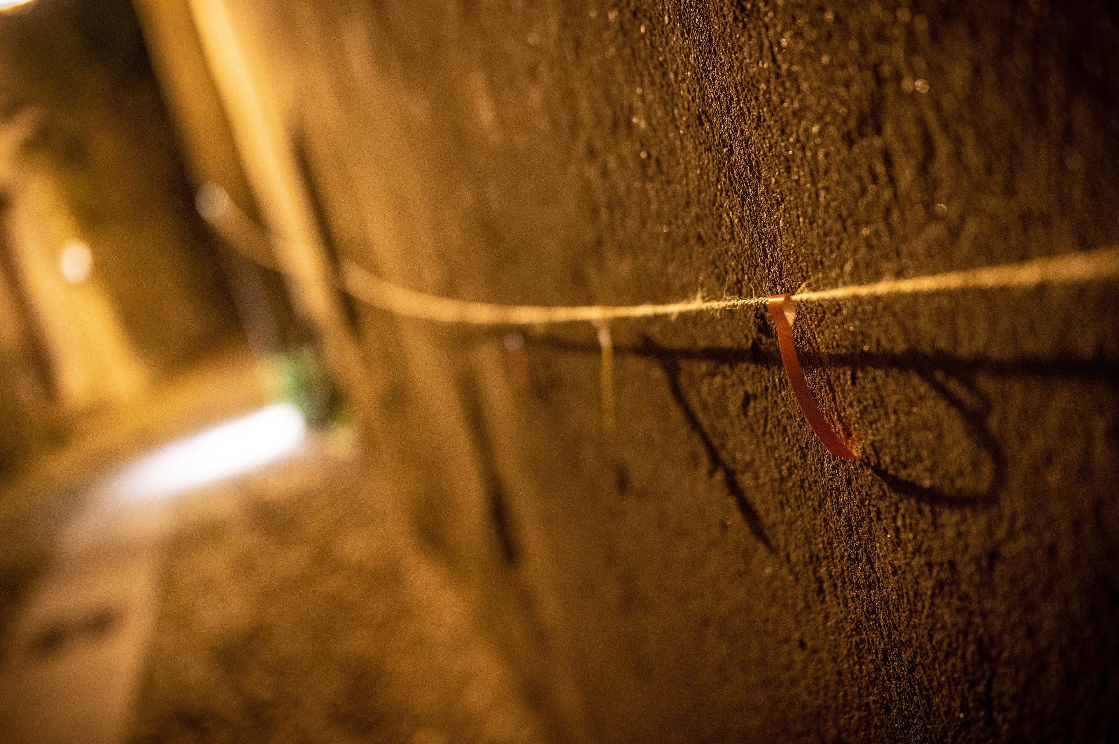 "Passaggi e paesaggi, il colore come guida" Cristina Polli