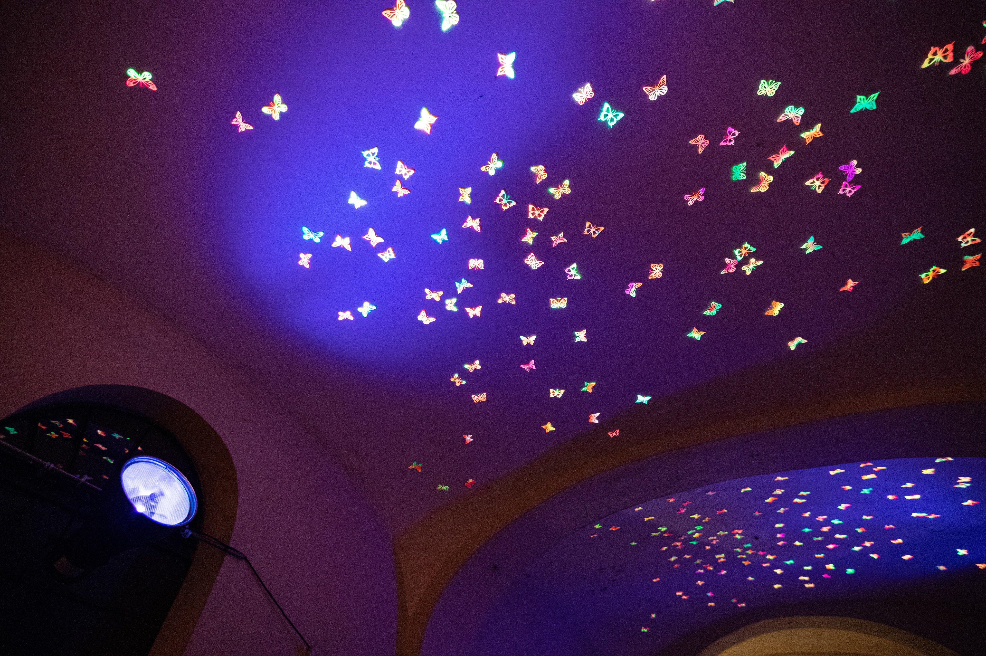 "Butterfly effect" Gonul Nuhoglu