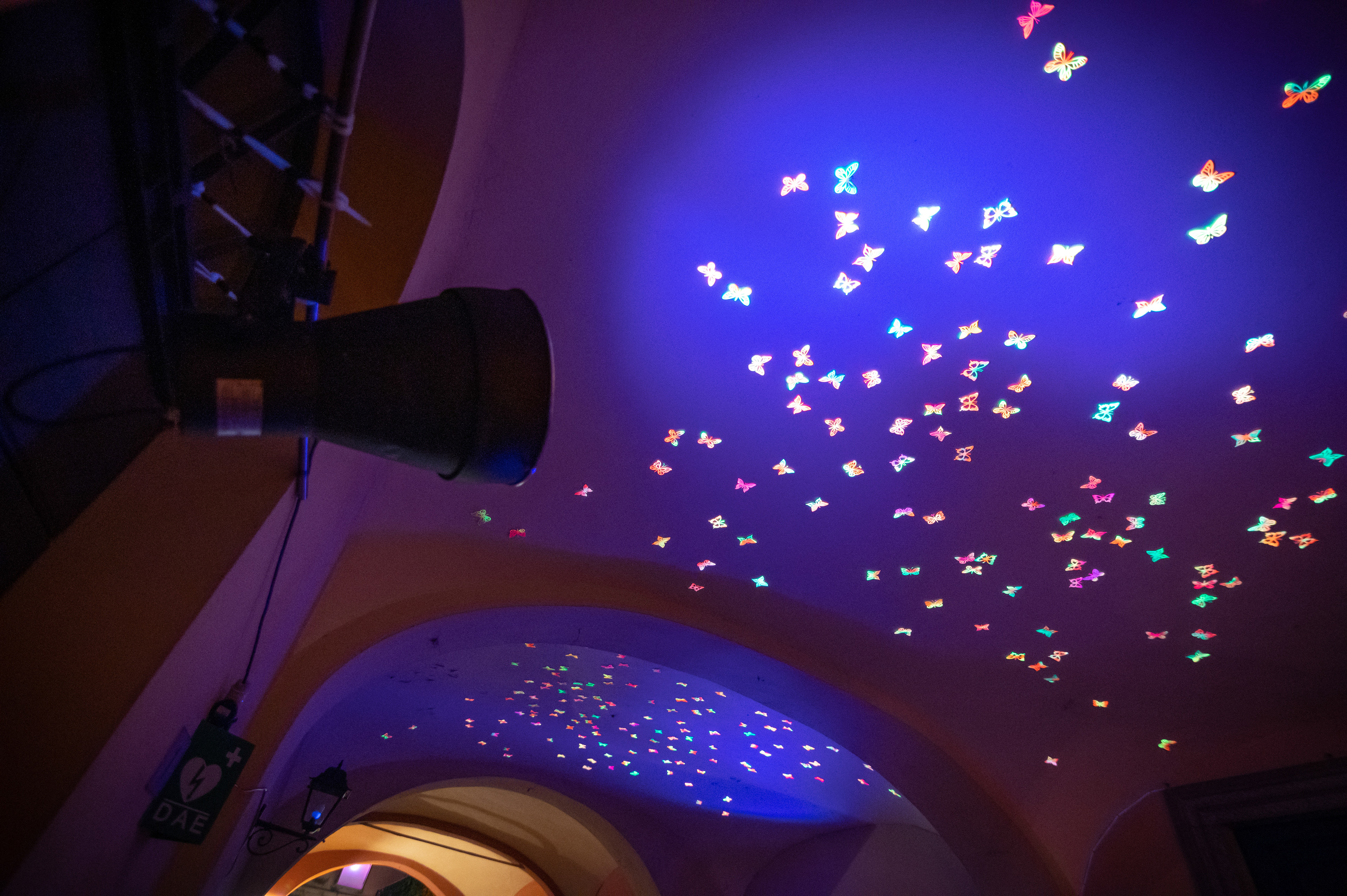 "Butterfly effect" Gonul Nuhoglu