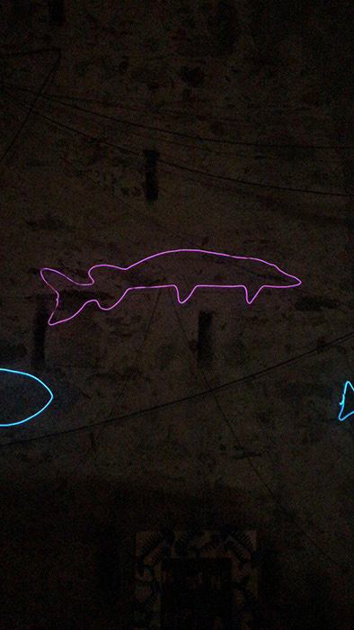 Illusione ittica, i ragazzi del Centro Estivo di Lesa