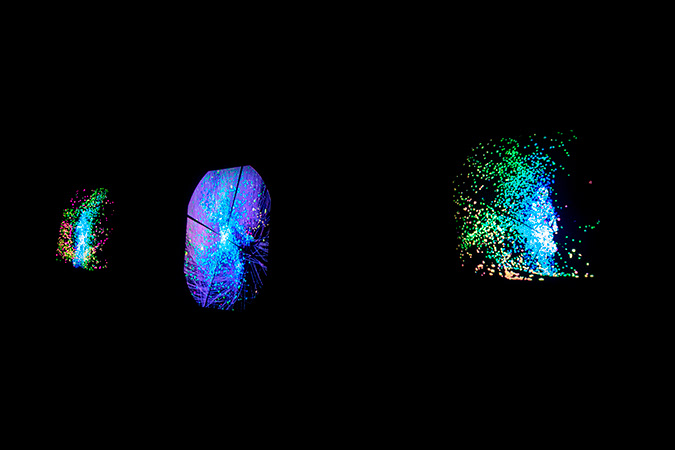 Rainbow warriors, Gonul Nuhoglu