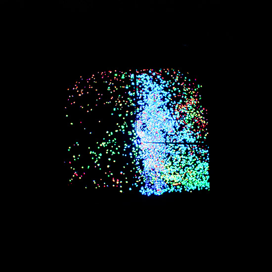 Rainbow warriors, Gonul Nuhoglu