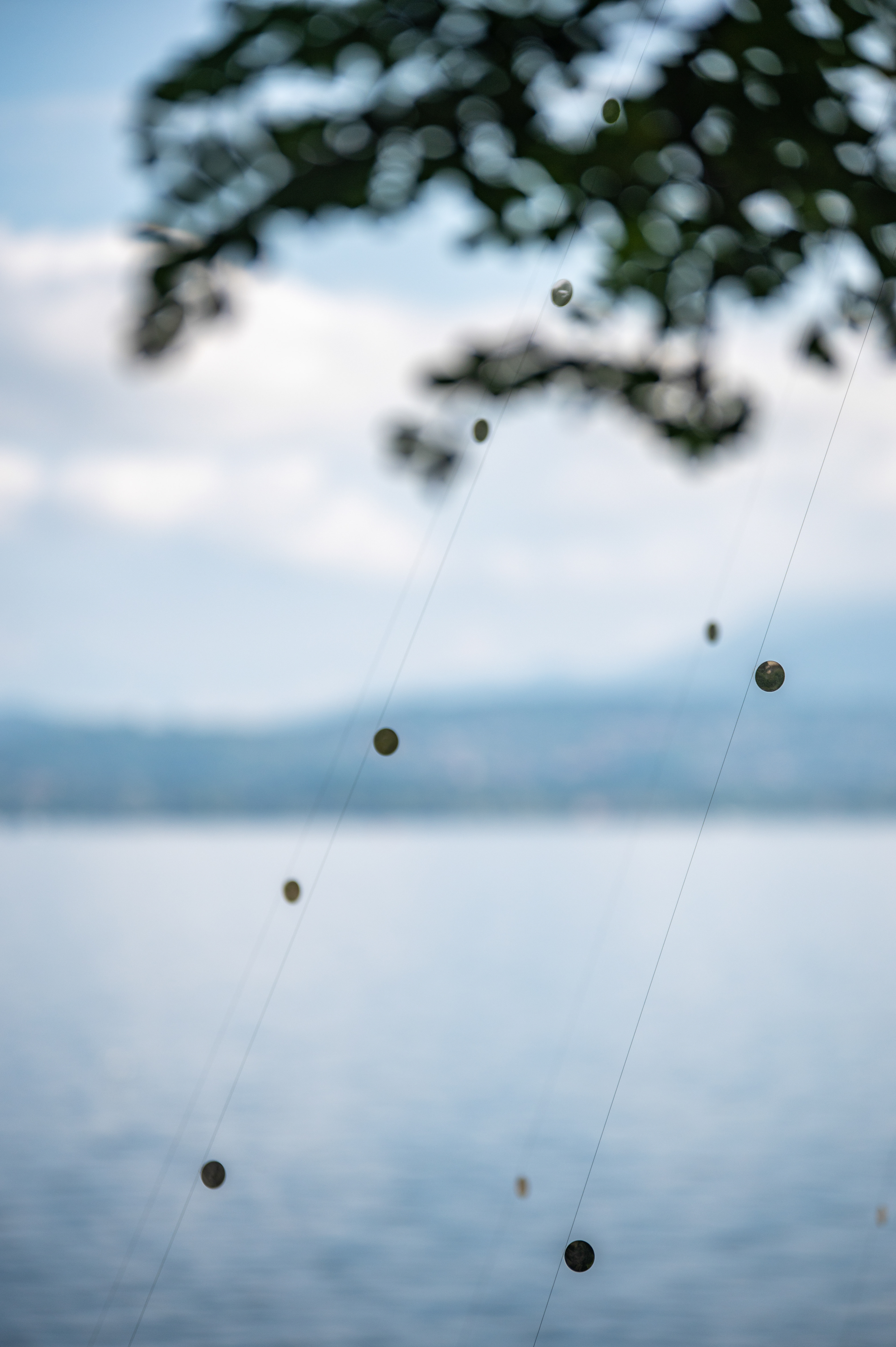 "Fragment of reality" Alessandro Lupi