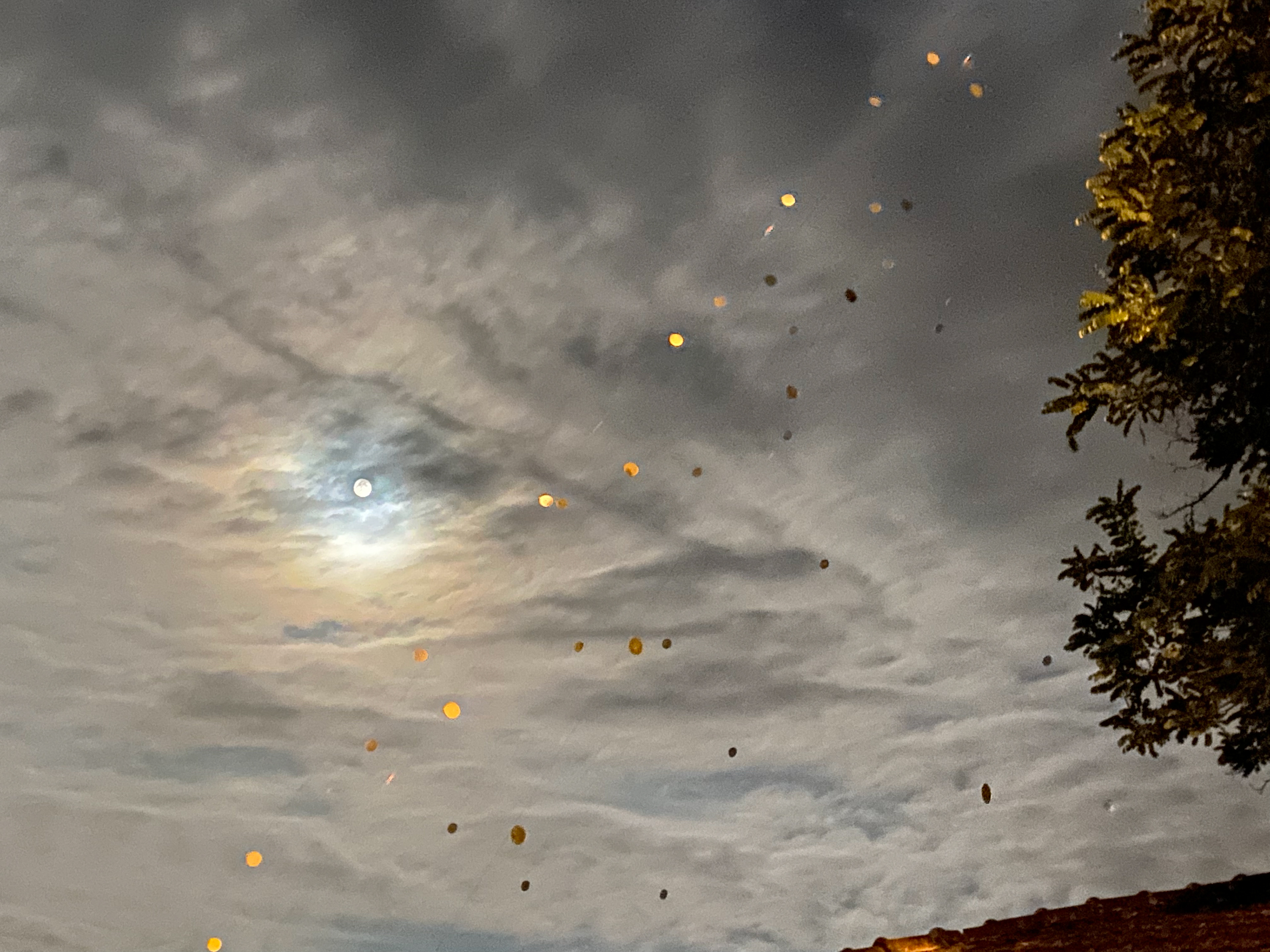 "Fragment of reality" Alessandro Lupi