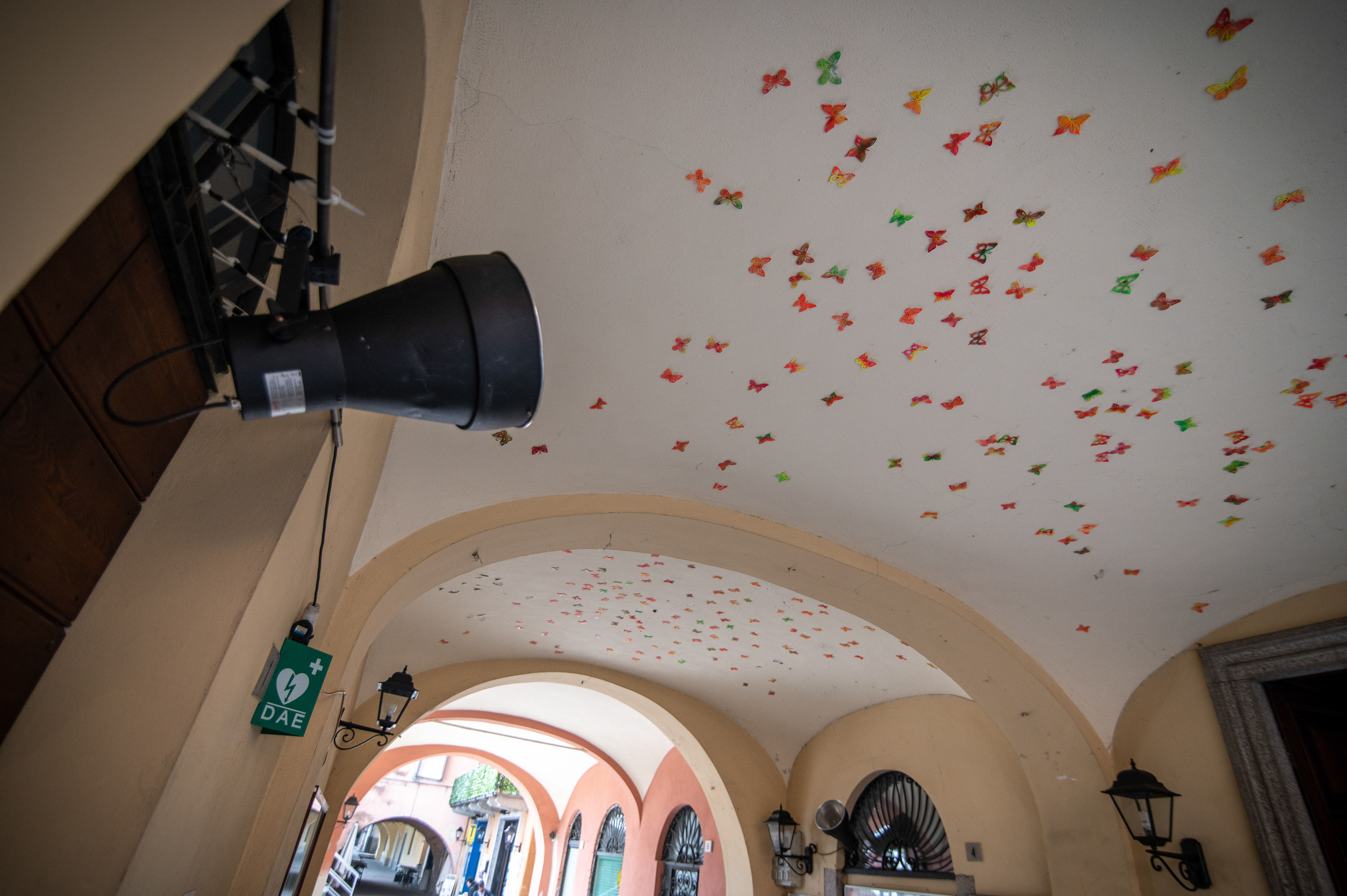 "Butterfly effect" Gonul Nuhoglu