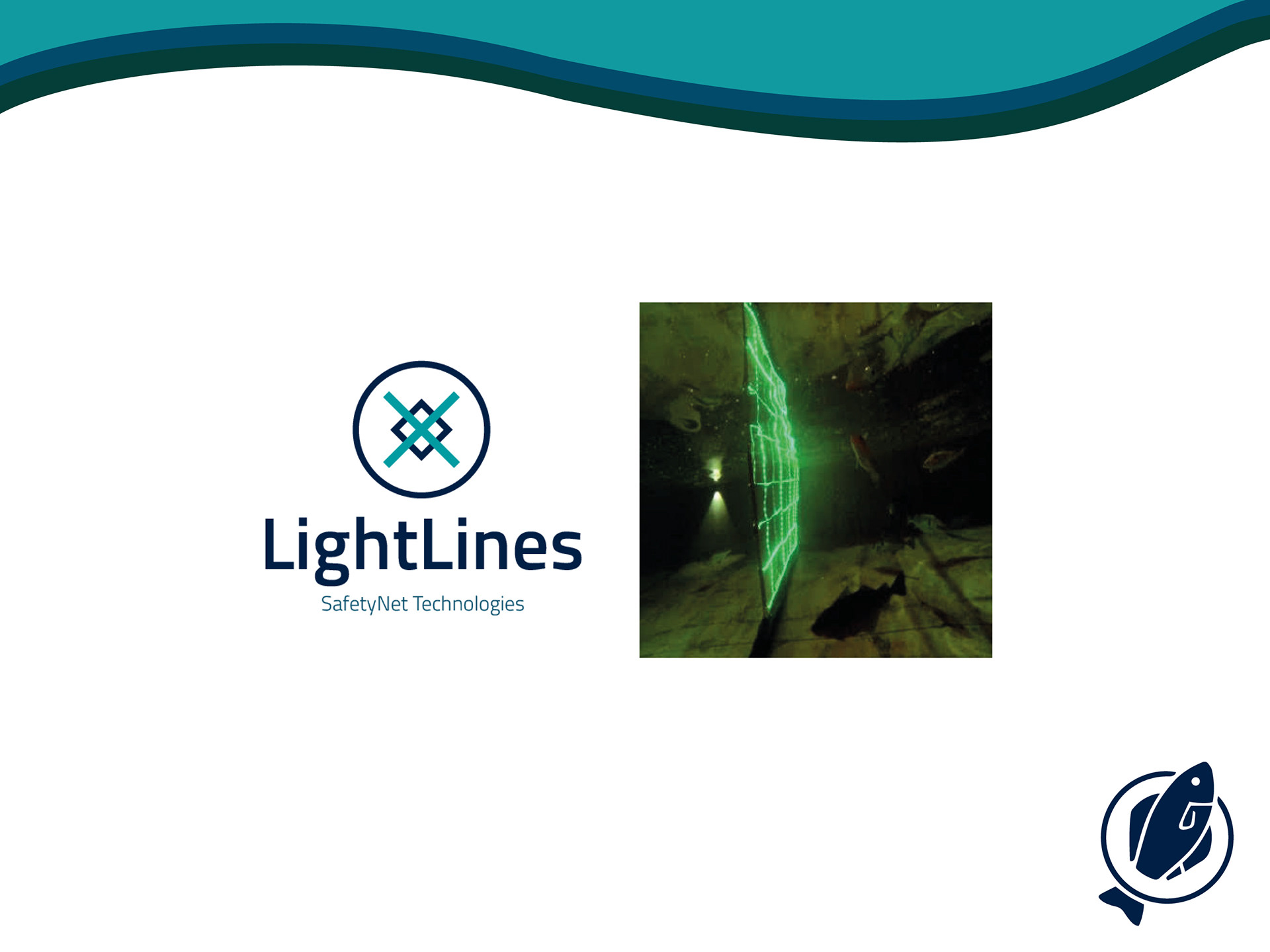 Lightlines - Presentation