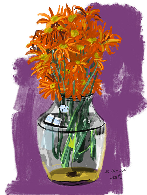 Orange Daisy