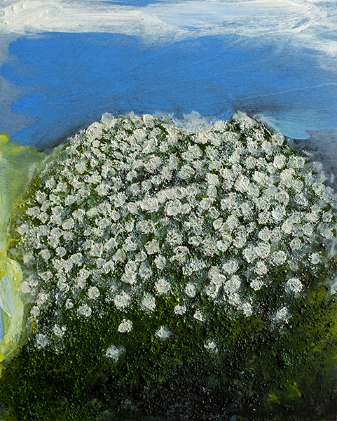 White Bush