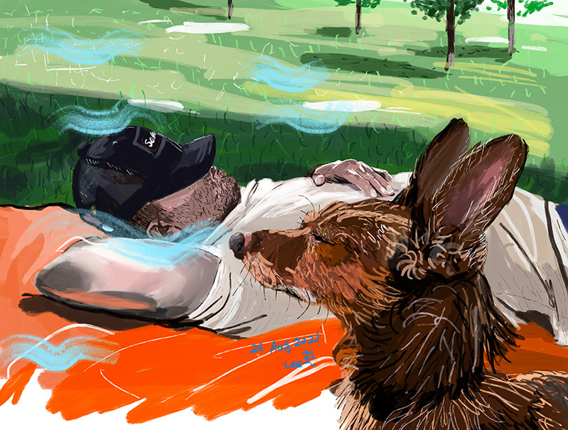 Breezy Summer Picnic