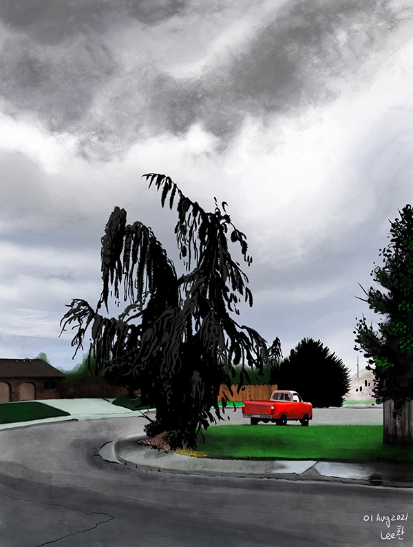Weeping Giant Sequoia and a Red Car