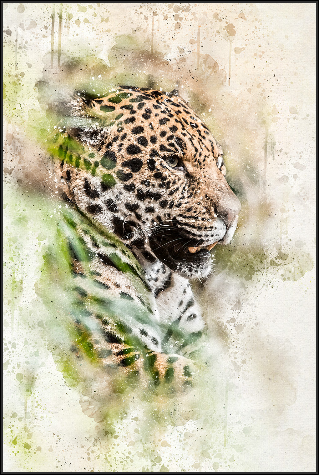Jaguar
