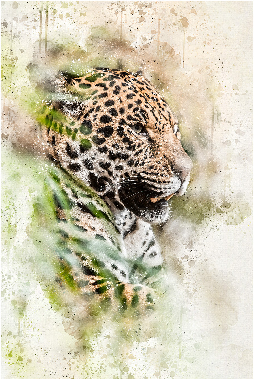 Jaguar