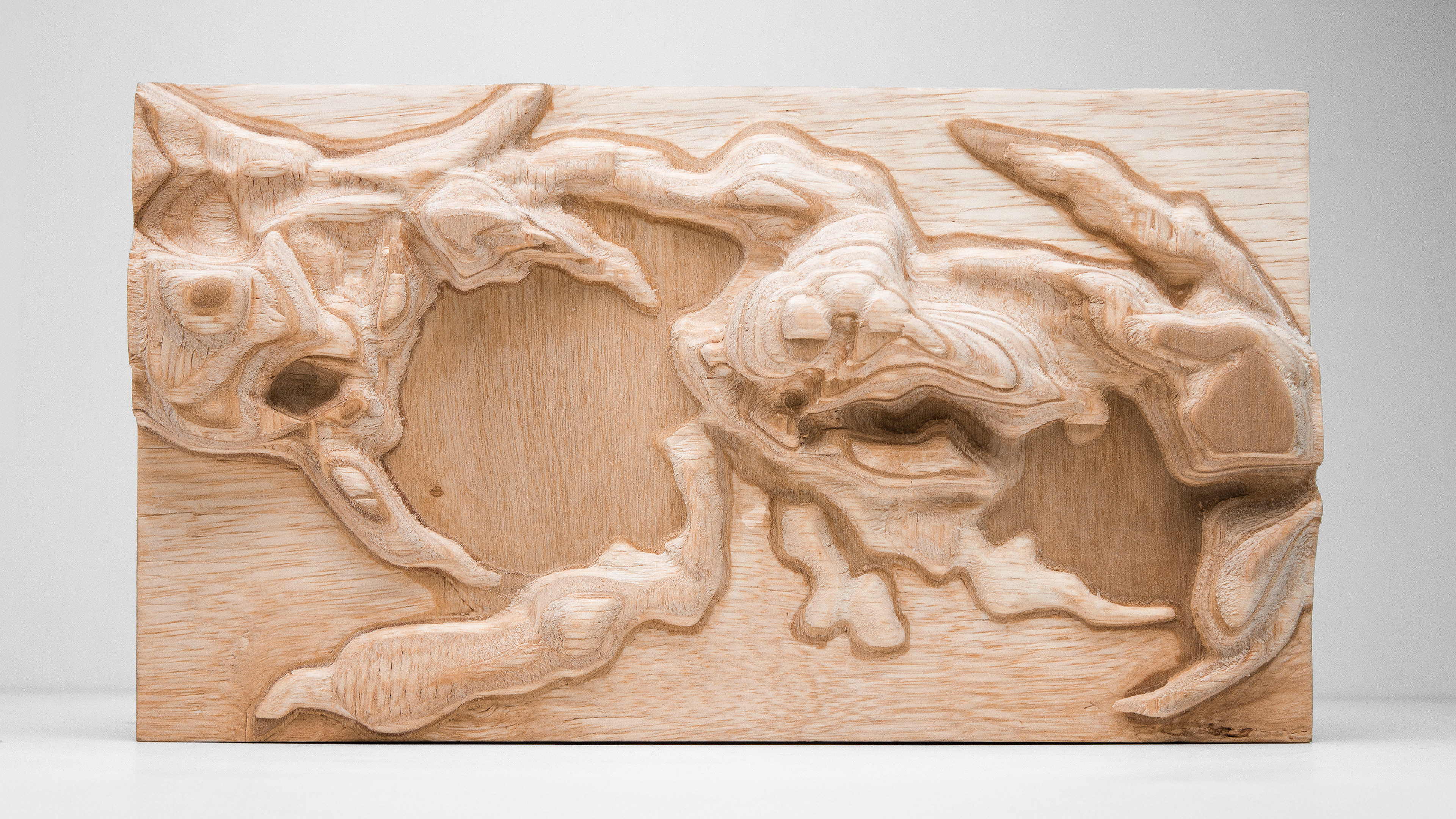 Positive Imprints: Fluid Flow of Motion