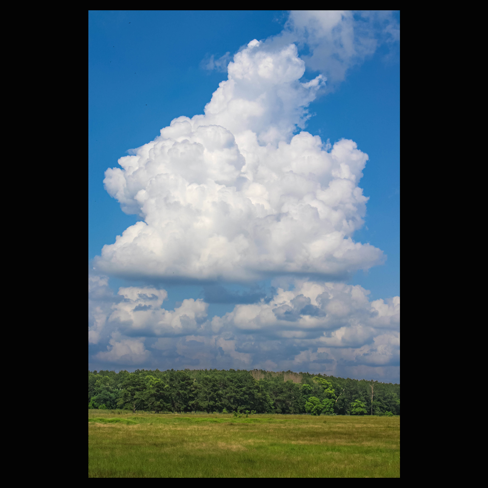 Summer sky over East Texas pastureland