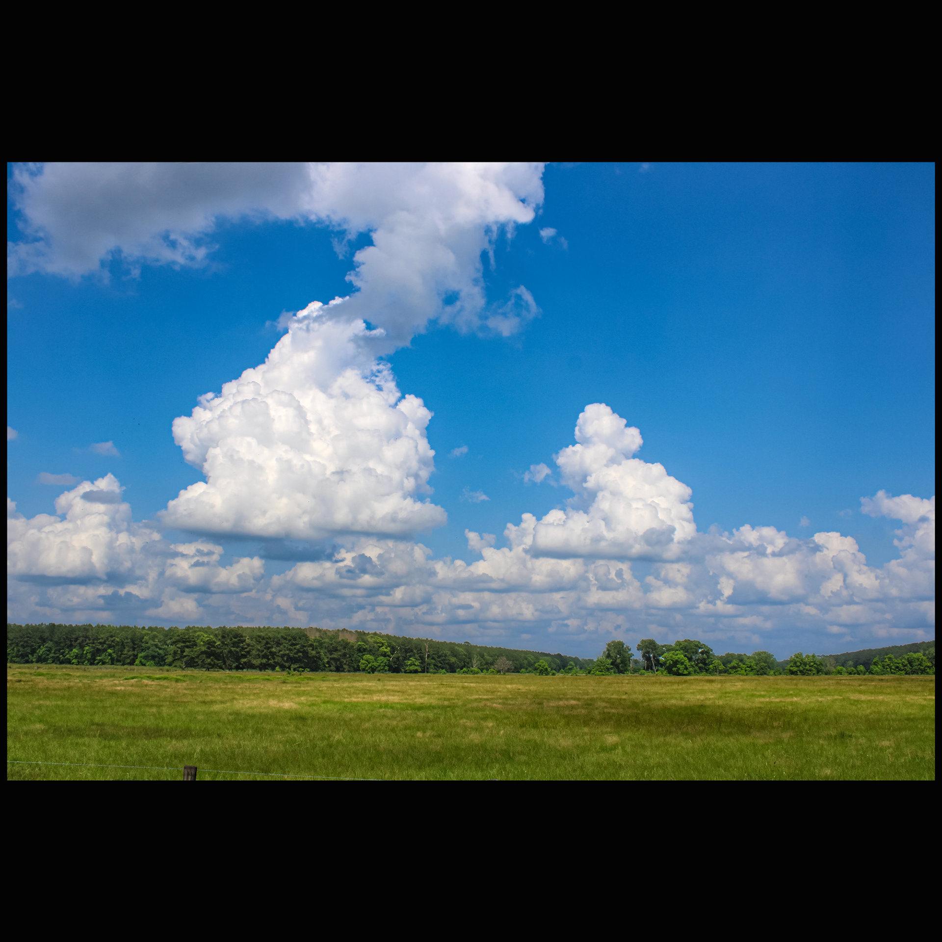 Building clouds, East Texas pastureland.