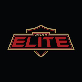 AAU Basketball Team Logo